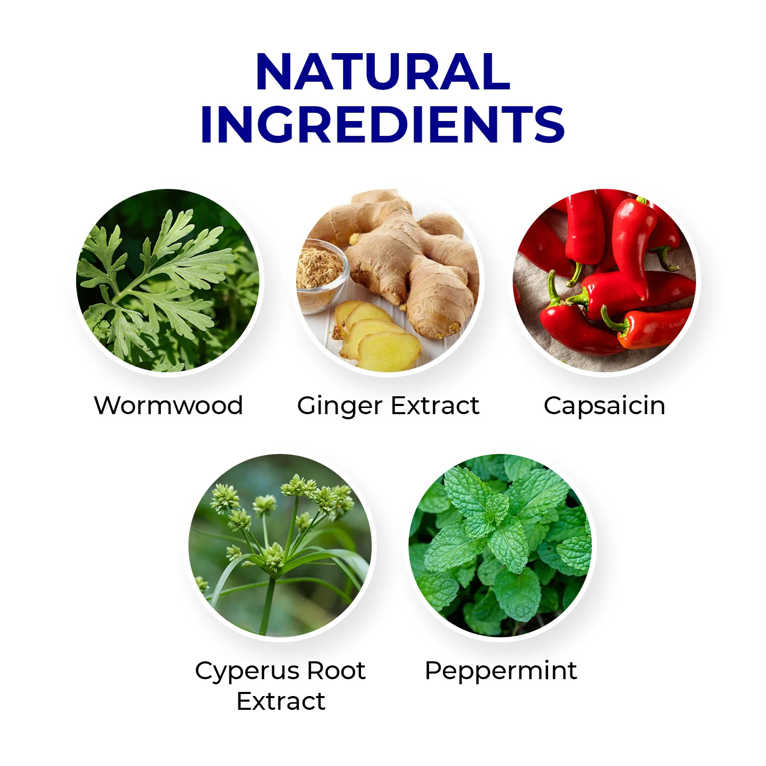 Natural Herbal Cervical Spine Patch - Image 7